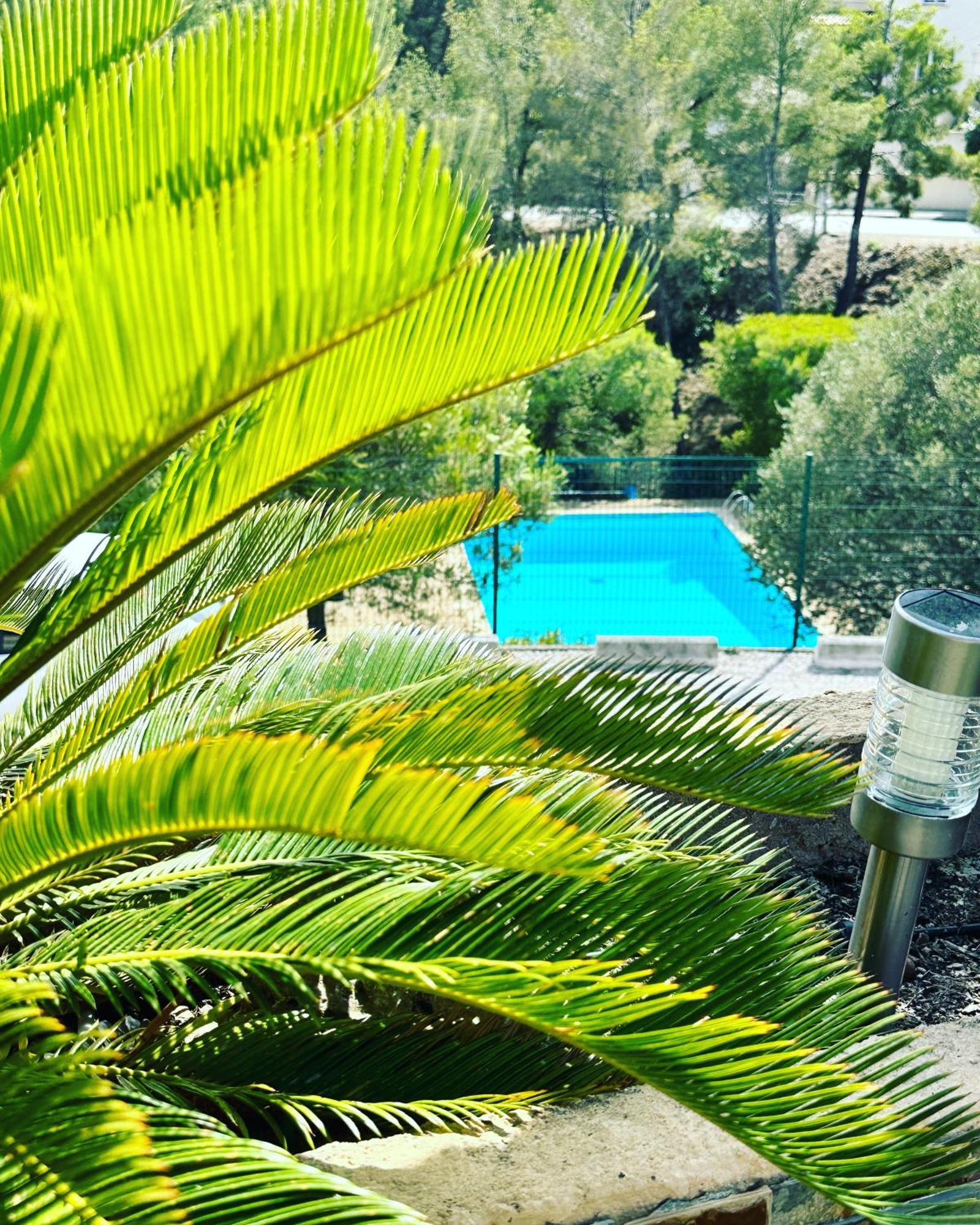 Vuemer Bandol - Grande Terrasse De 45M2 Vue Mer Piscine Parking 외부 사진